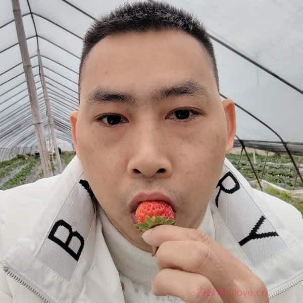 株洲征婚相亲网