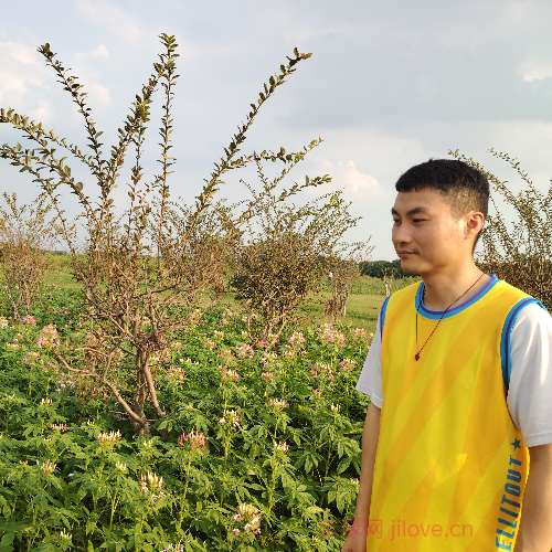 37岁岁广东单身帅哥 - 株洲吉缘网